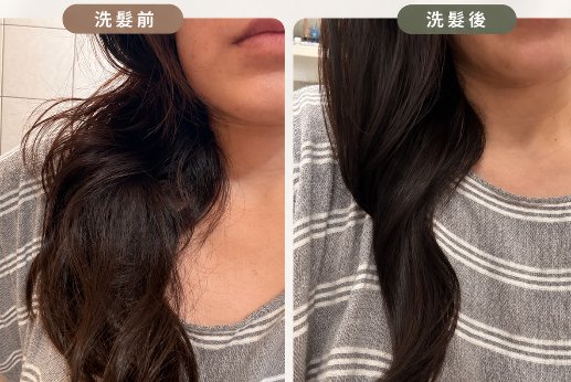 飛柔<雙重植萃控油淨澈洗髮露> 油頭皮救星~
