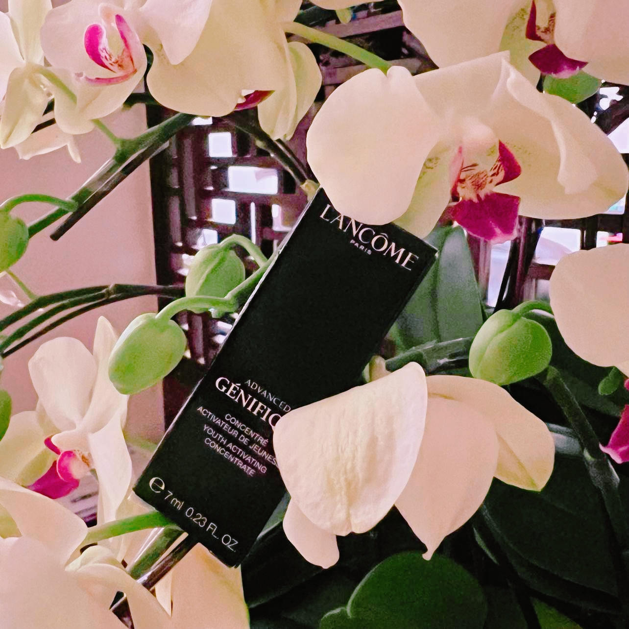[LANCOME 蘭蔻超未來肌因賦活露]