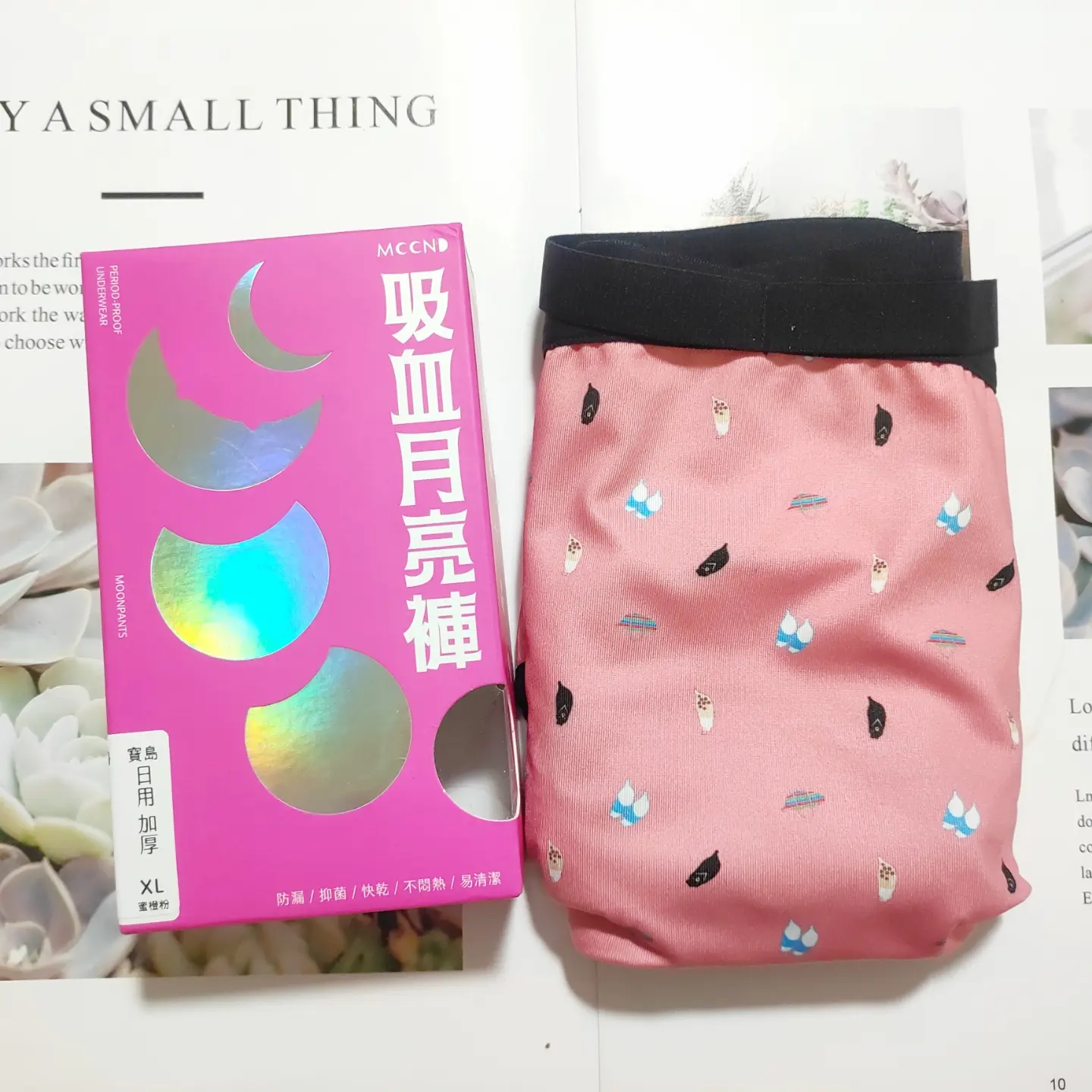 阻擋山洪暴發的守衛者