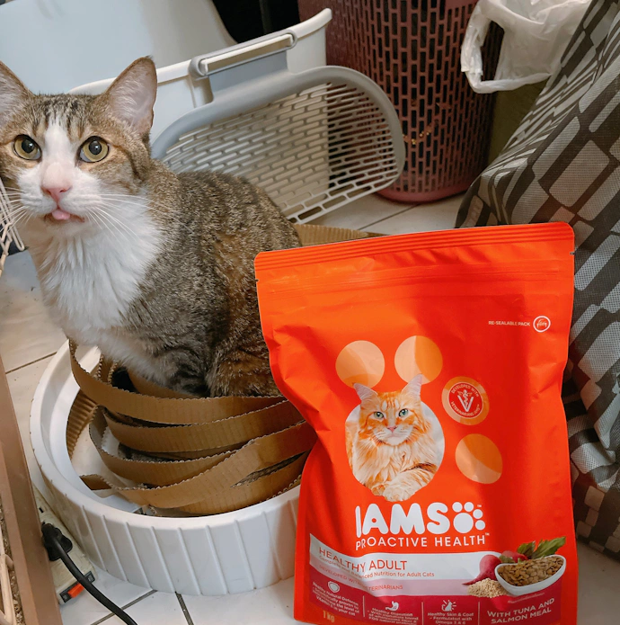 ［萌竉●貓飼料推薦］IAMS™愛慕思™健康優活系列-成貓營養配方鮪魚及鮭魚口味/高適口性，高評價＋含有豐富的營養成分！！