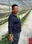 ［苗栗］分享能和毛小孩 一起採無毒草莓的地方