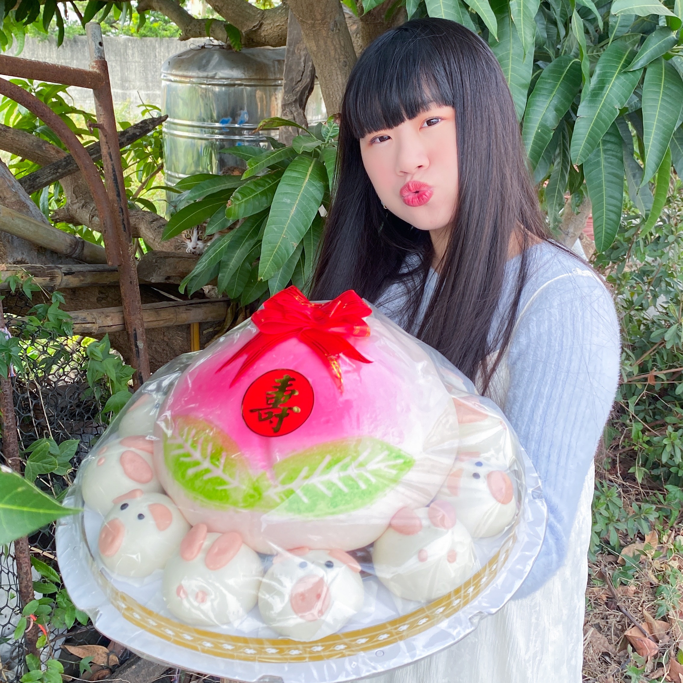 ✨12吋豬豬兔子富貴子母桃✨