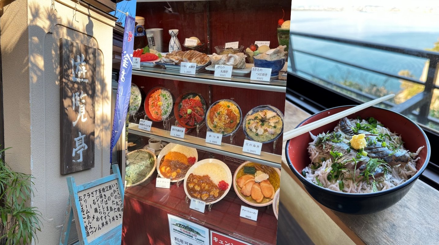 鎌倉江之島美食推薦-邊看海邊大啖吻仔魚丼飯與烤蠑螺！