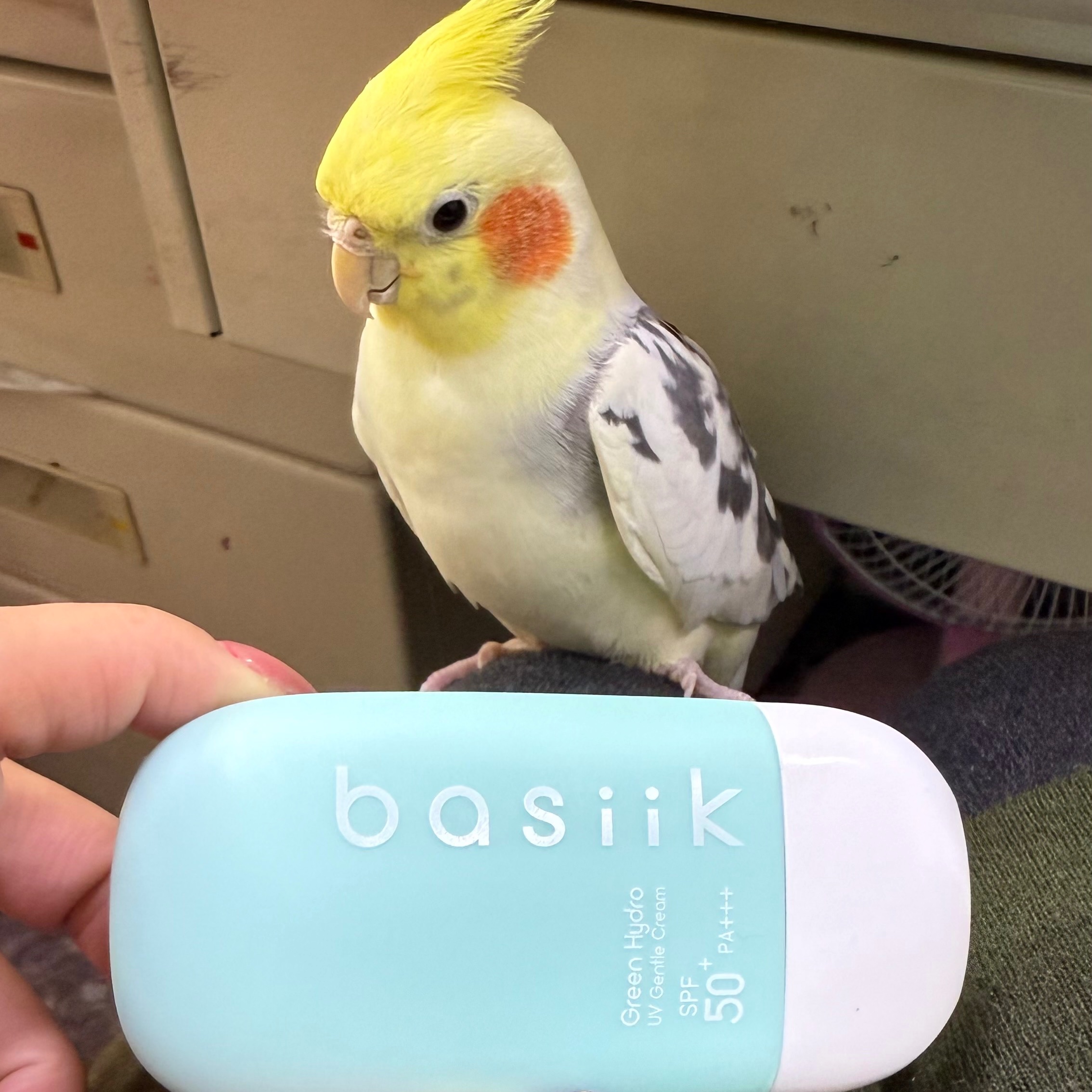 Basiik防曬聖品超好用～一生推！！