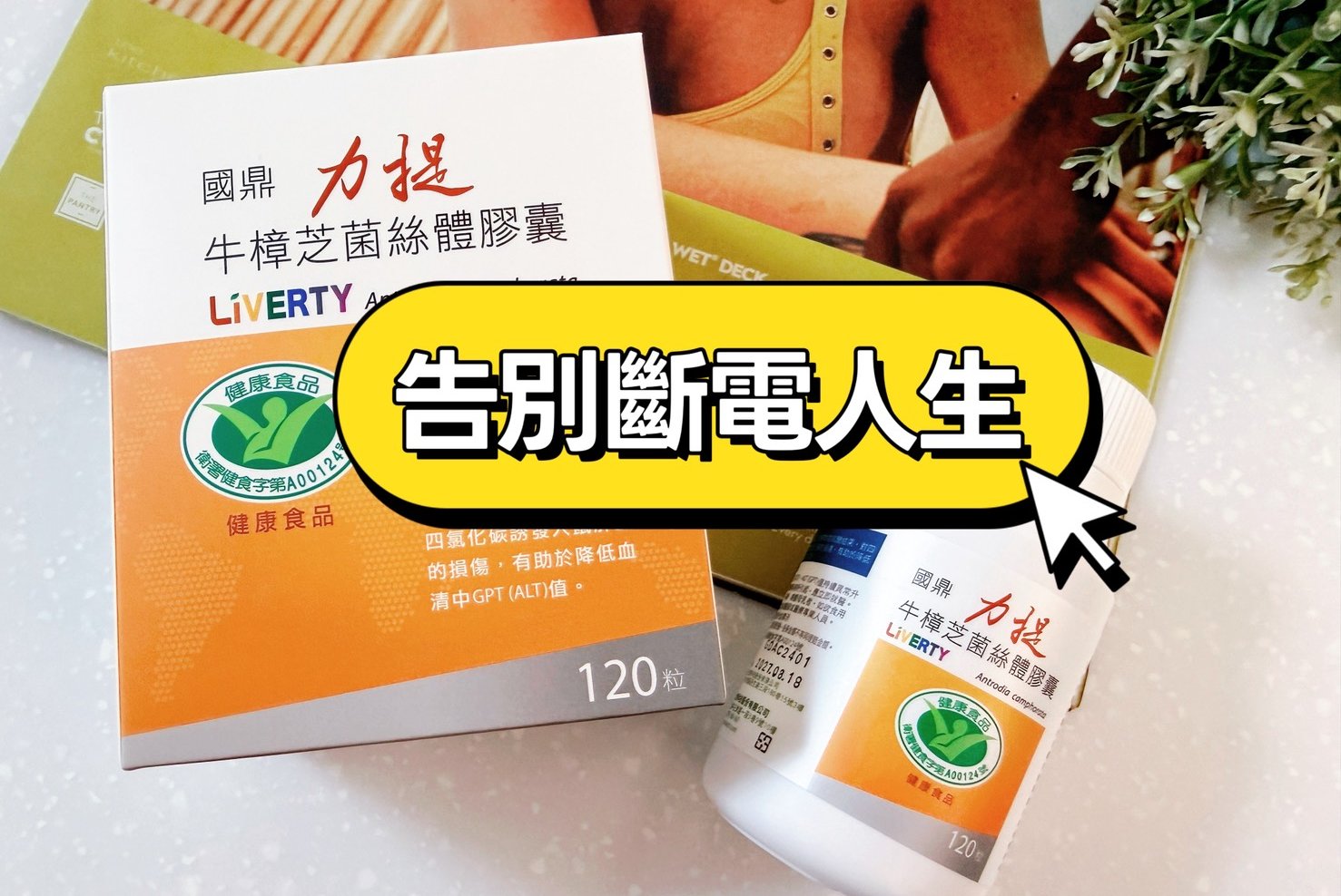 國鼎生技力提牛樟芝｜護肝首選：明明睡很久還是累？告別斷電人生