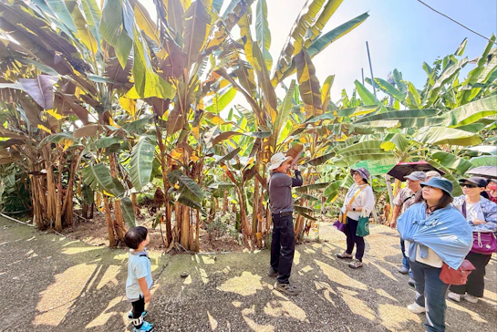 [旅行]南投集集免門票親子景點【jijibanana集元果觀光工廠】Cindy開箱